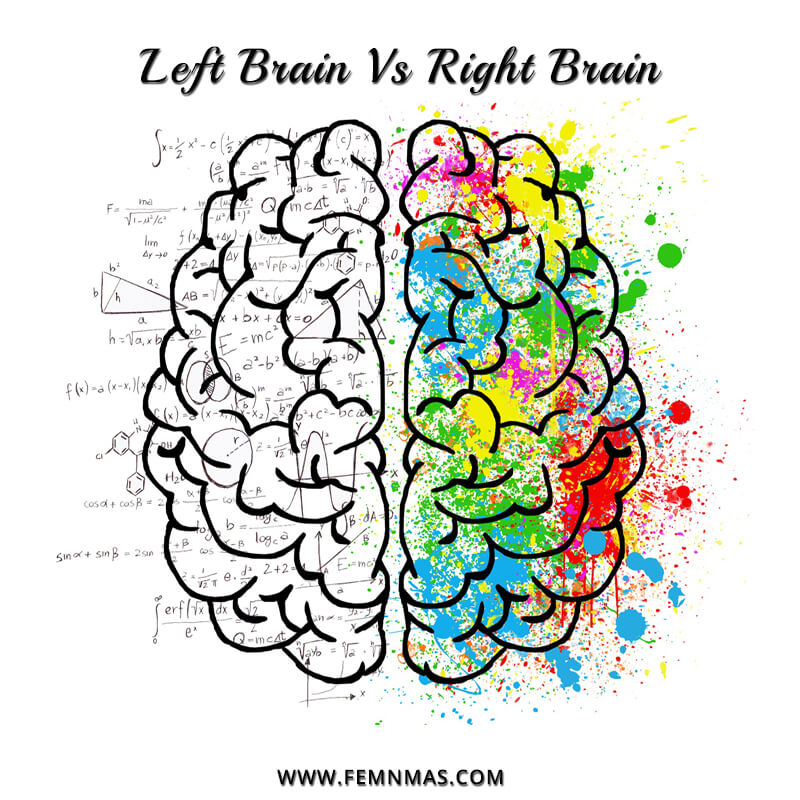 Left Brain v/s Right Brain: Balance Both the Hemispheres