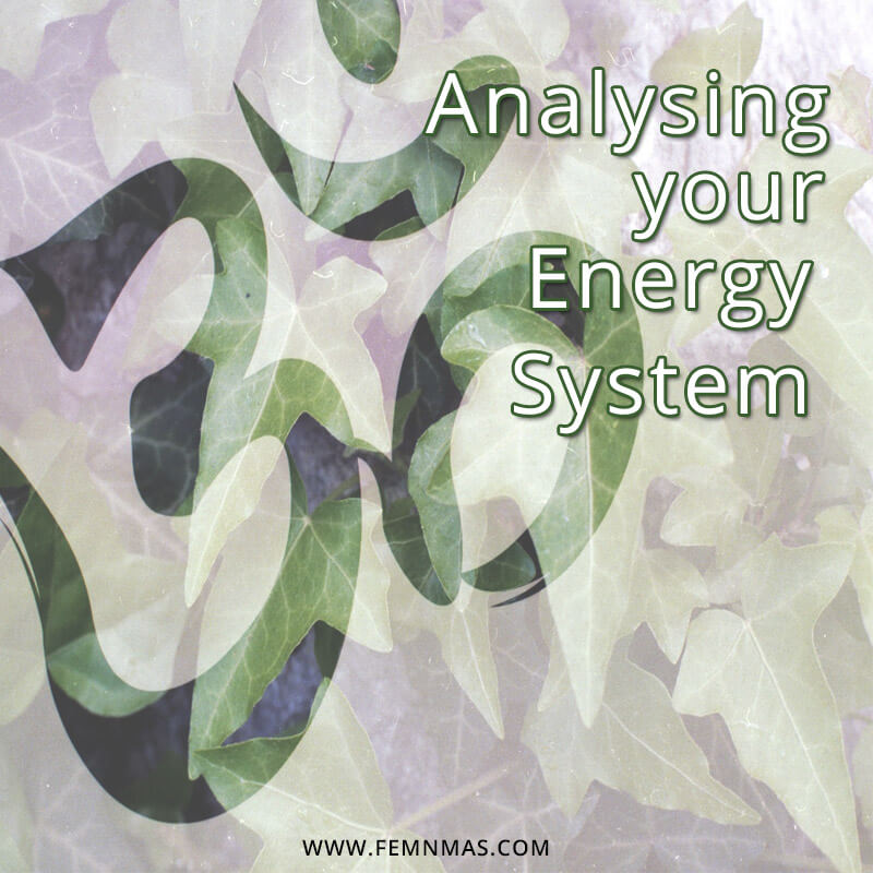 Analyzing your Energy System