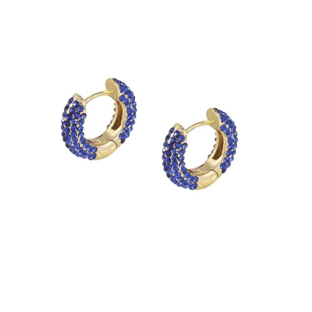 Golden Blue Cute Studs