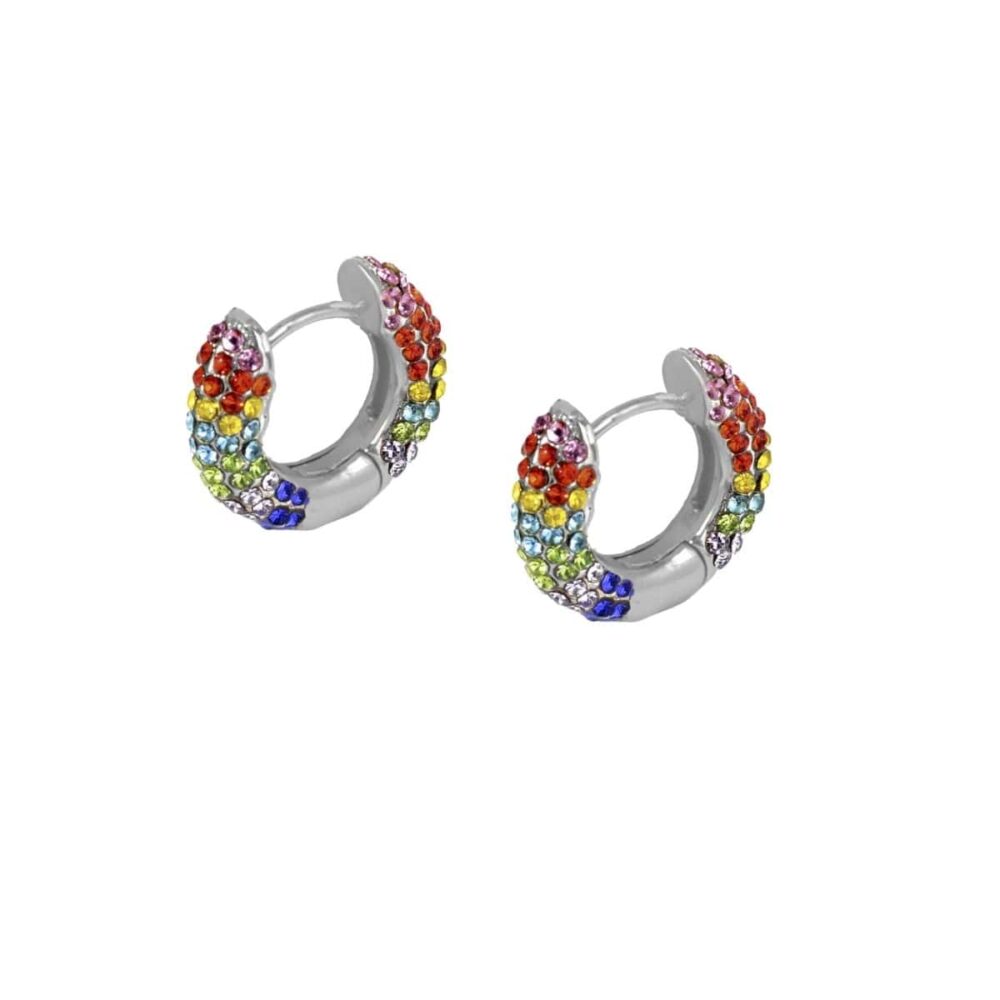 Silver Multi Color Cute Studs