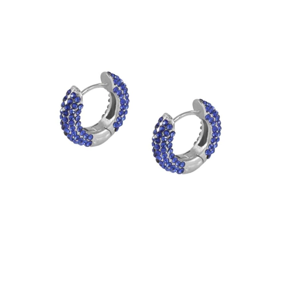 Silver Blue Cute Studs